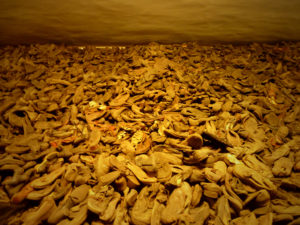 Chaussures des déportés, Auschwitz-Birkenau, Pologne