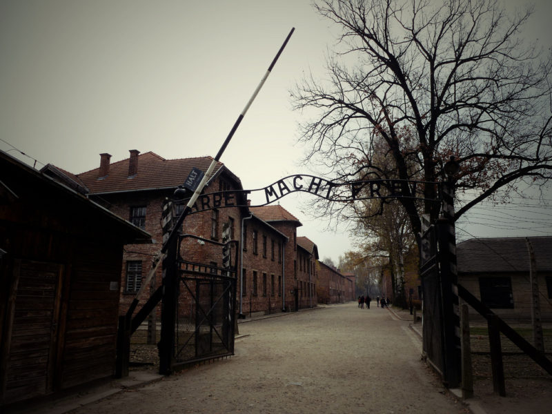 AuschwitzBirkenau  une journée dans les camps de la mort  Histoires