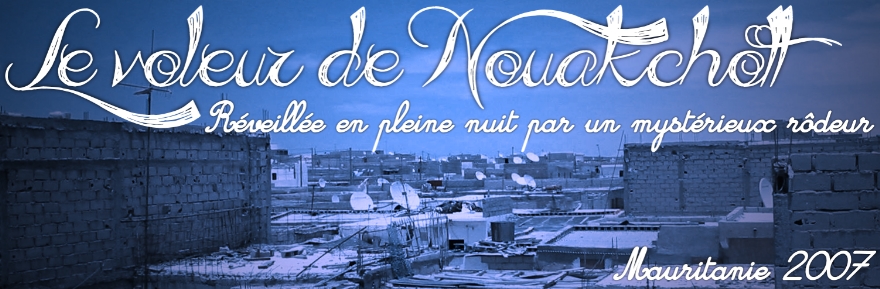 Le voleur de Nouakchott : réveillée en pleine nuit par un mystérieux rôdeur…