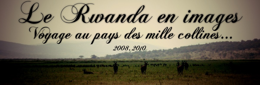 Le Rwanda en images : voyage au pays des mille collines…