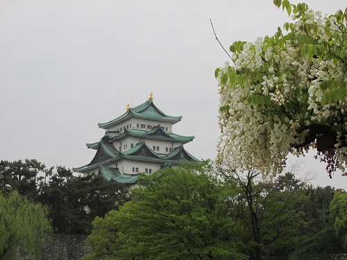 chateau de nagoya photo