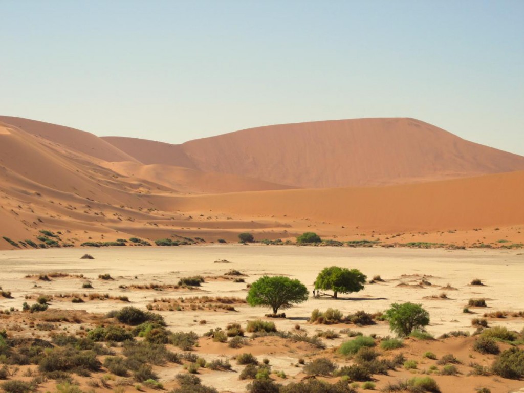 sossusvlei en namibie