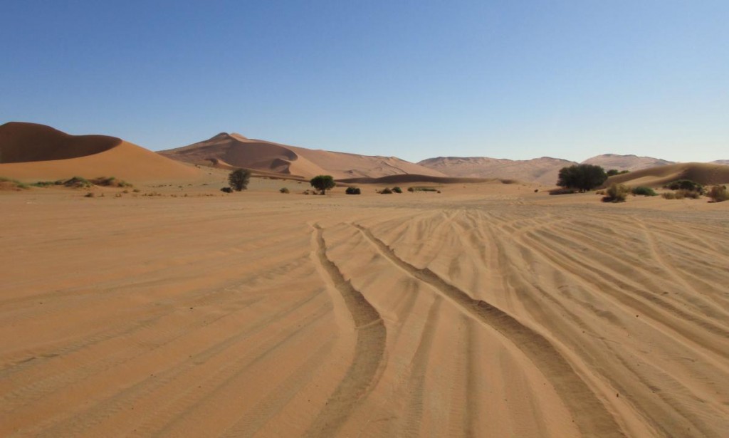désert du namib