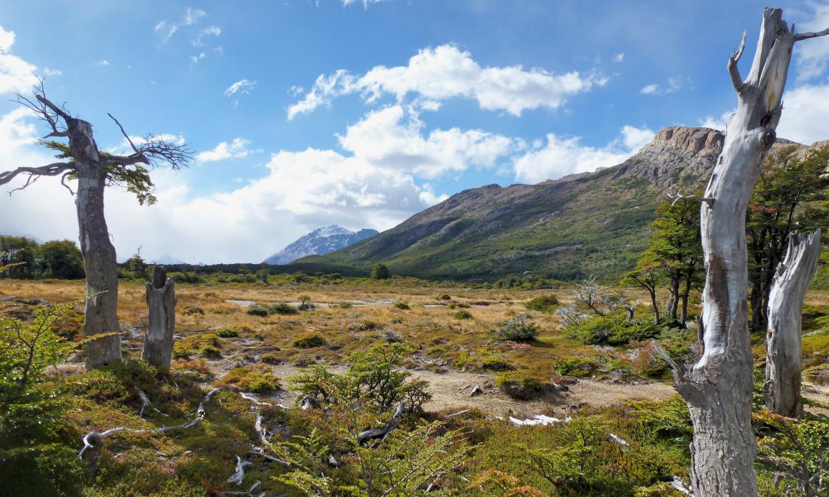 pourquoi voyager, ici el chalten en argentine