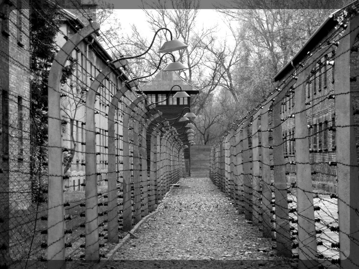 Auschwitz, Pologne