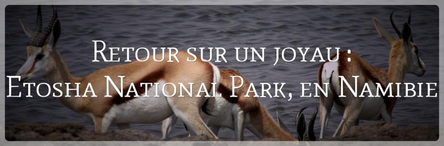 visite d'etosha national park