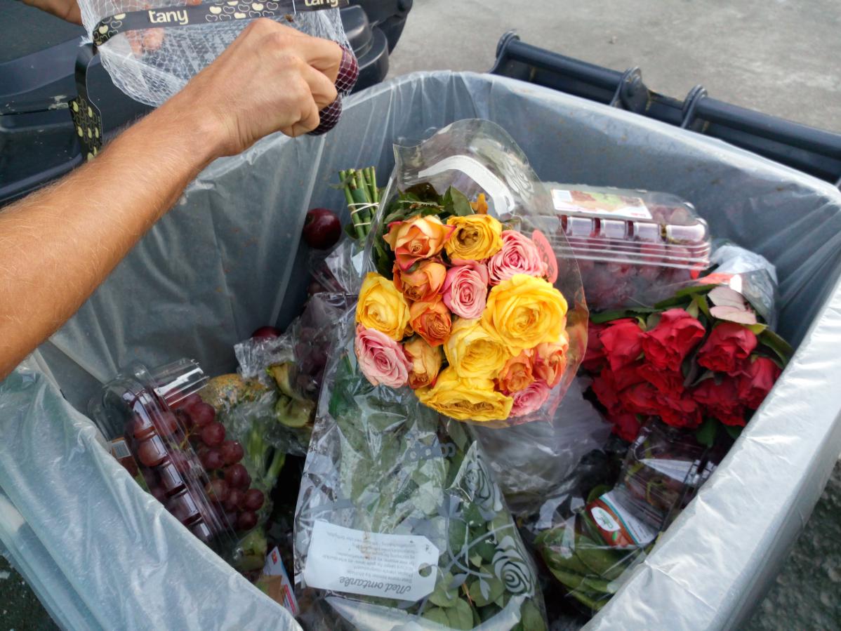 Glanage alimentaire en Norvège