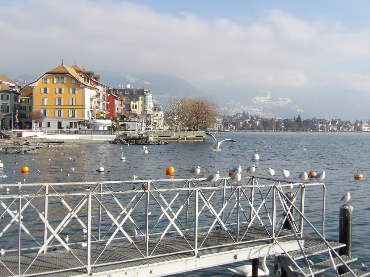 Visiter la Suisse : la magnifique ville de Vevey, sur le lac Léman.