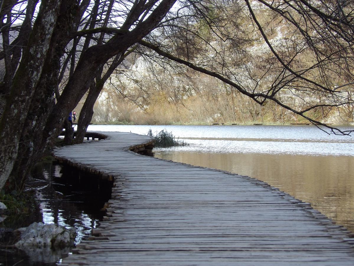 Promenade autour des lacs du parc national de Plitvice