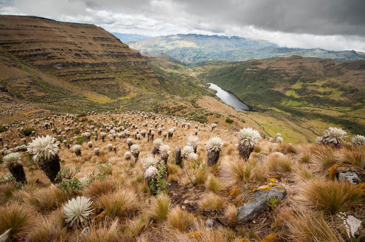 voyage en colombie