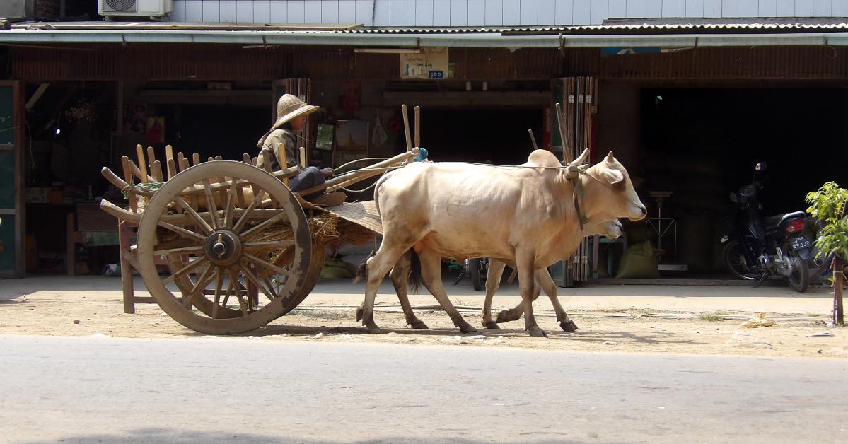 visite de Naypyidaw en Birmanie