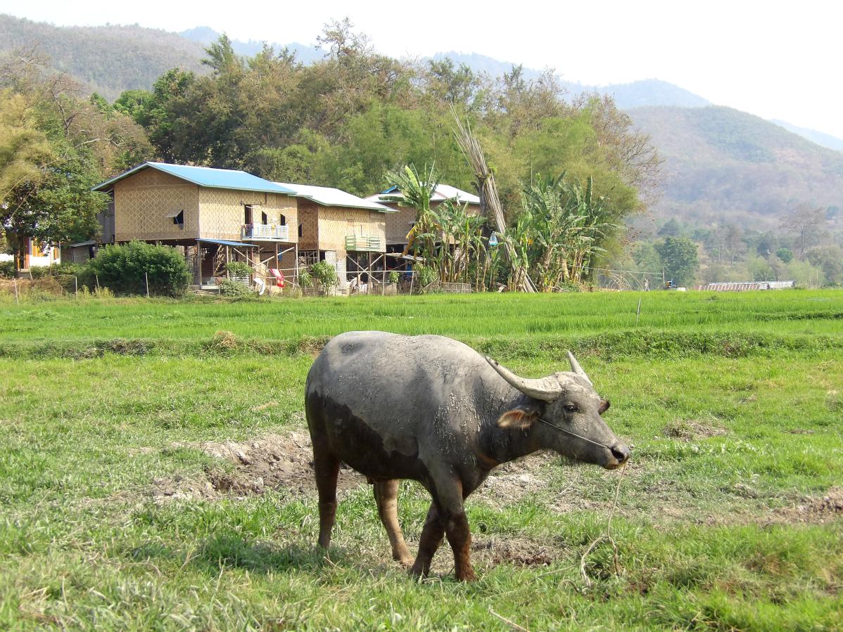 visiter la lac inle