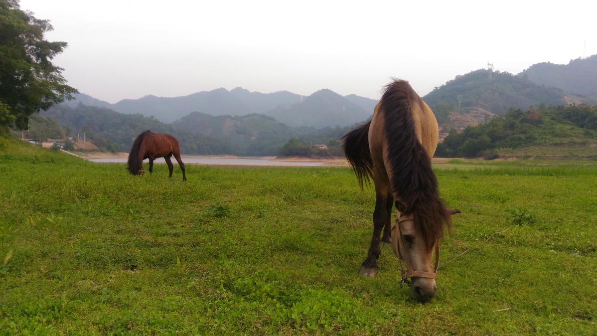 tourisme dans le guangxi en chine