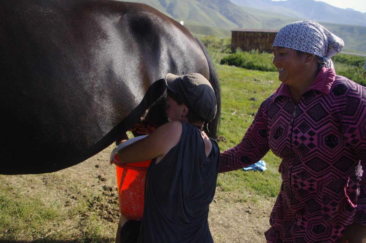 rencontre nomade kirghizistan