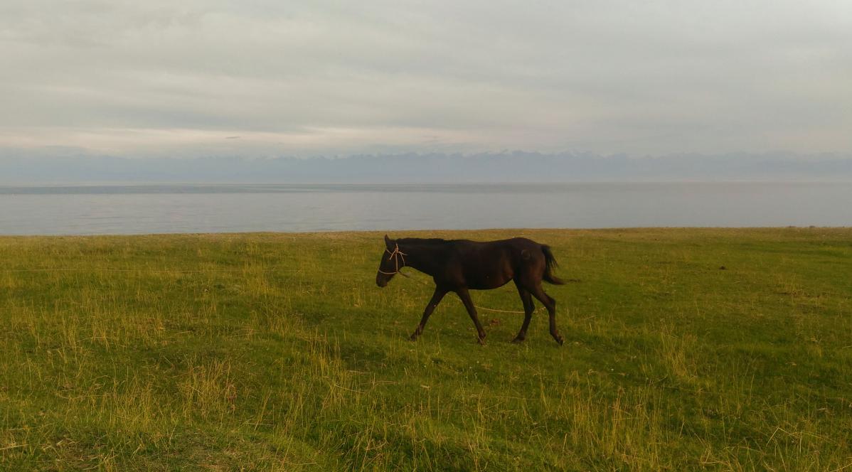 Le lac Issyk Kul, joyau kirghize entre ciel et terre