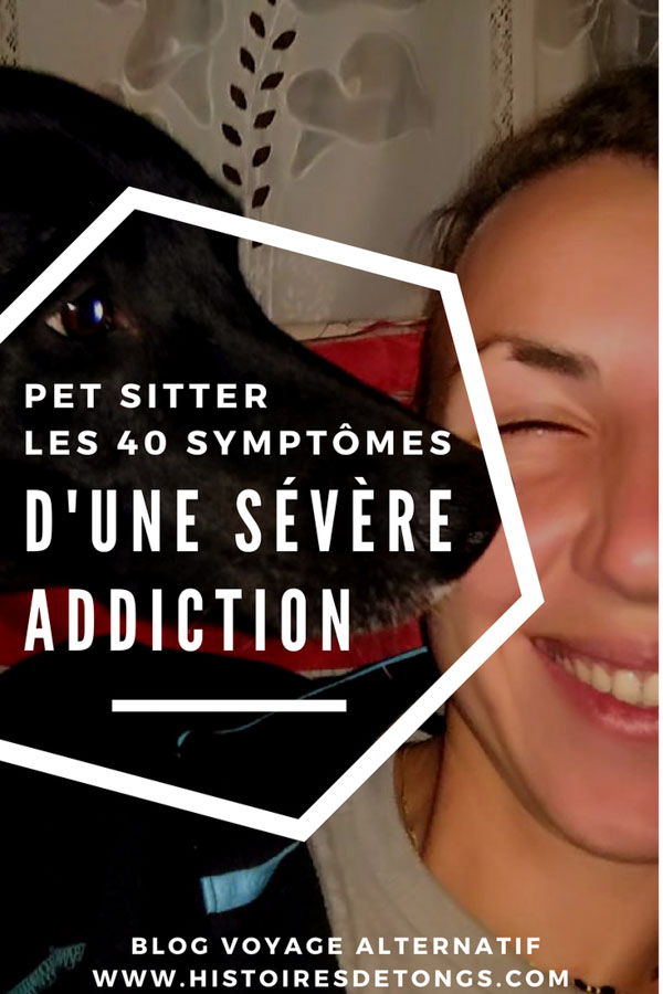 devenir pet sitter