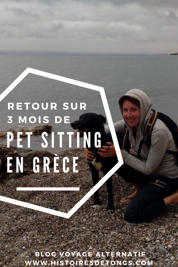 faire du pet sitting