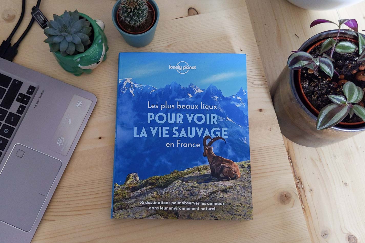 J’ai (encore) écrit pour le Lonely Planet !