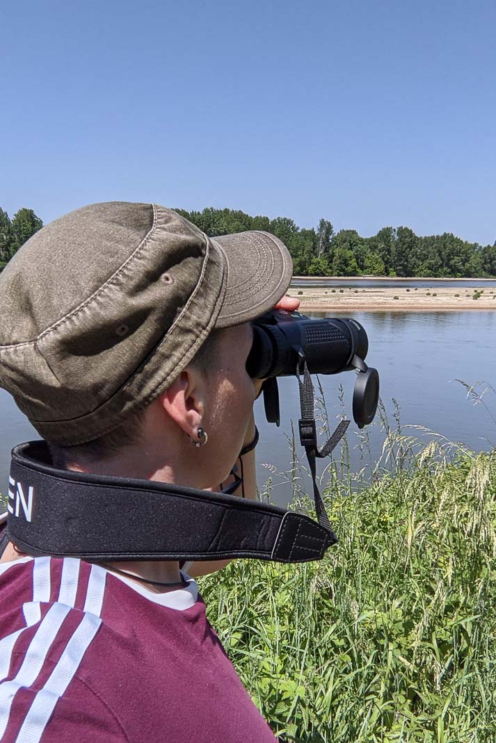 avis jumelles ornithologie