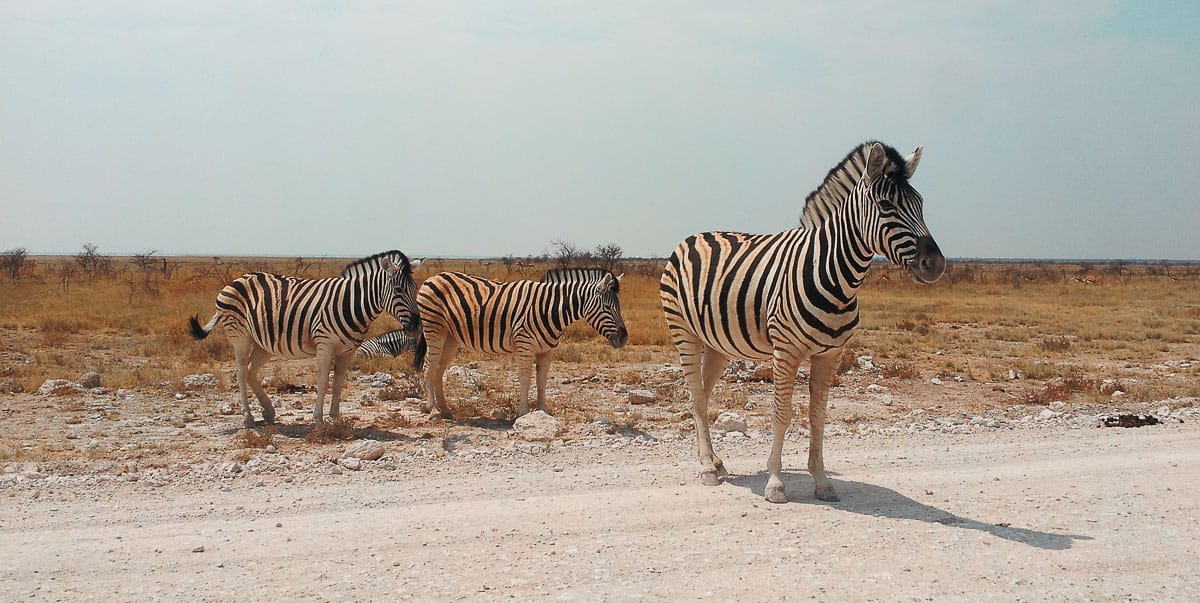 Voyager seul(e) en Afrique en mode backpack