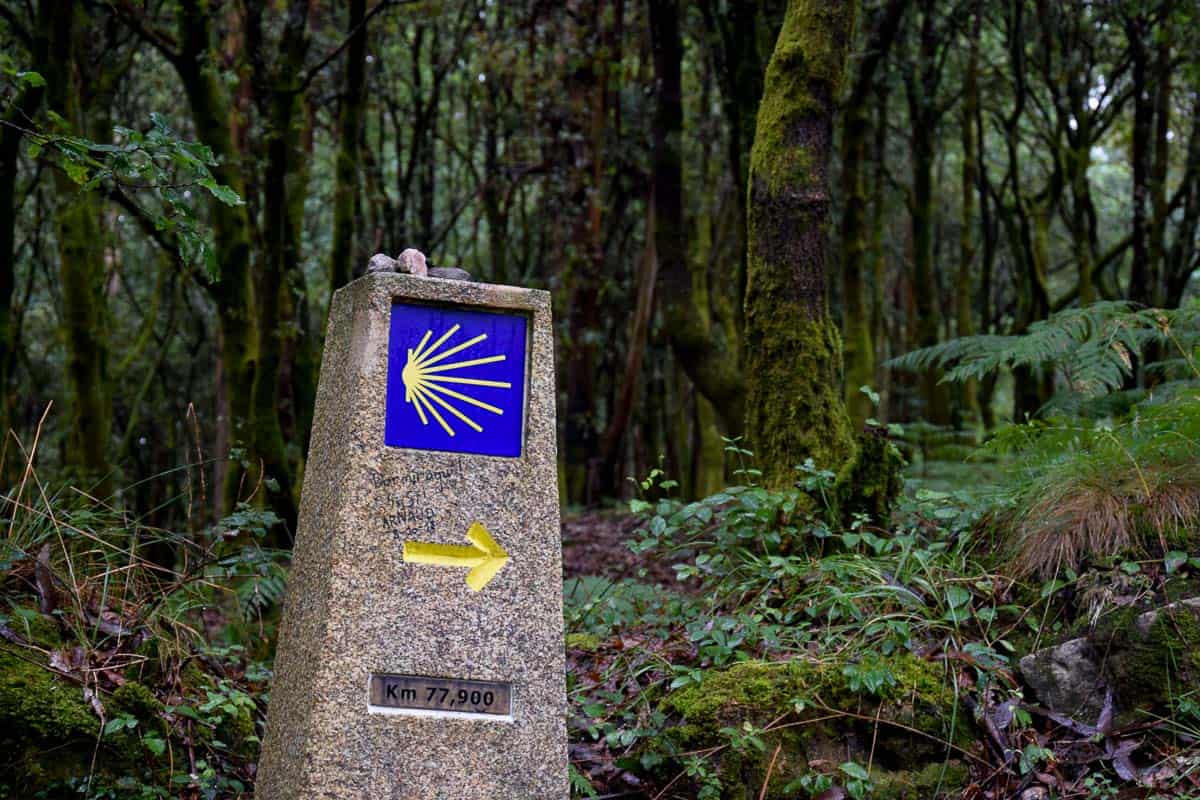 balise chemin compostelle marche