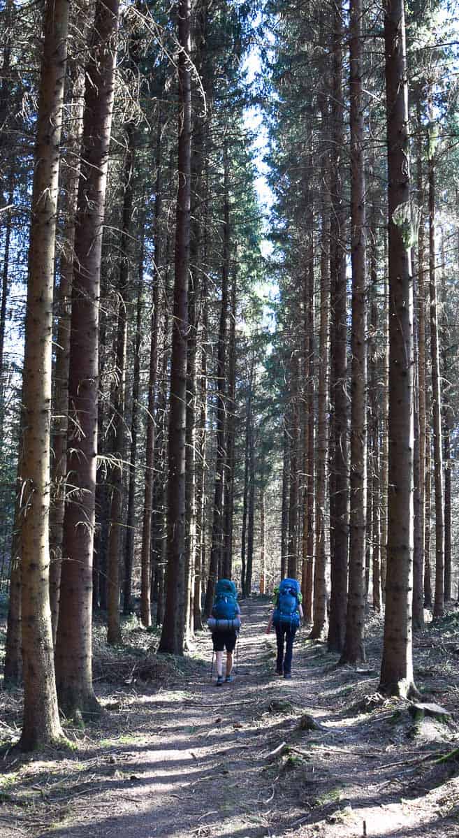 bienfaits randonnée trekking