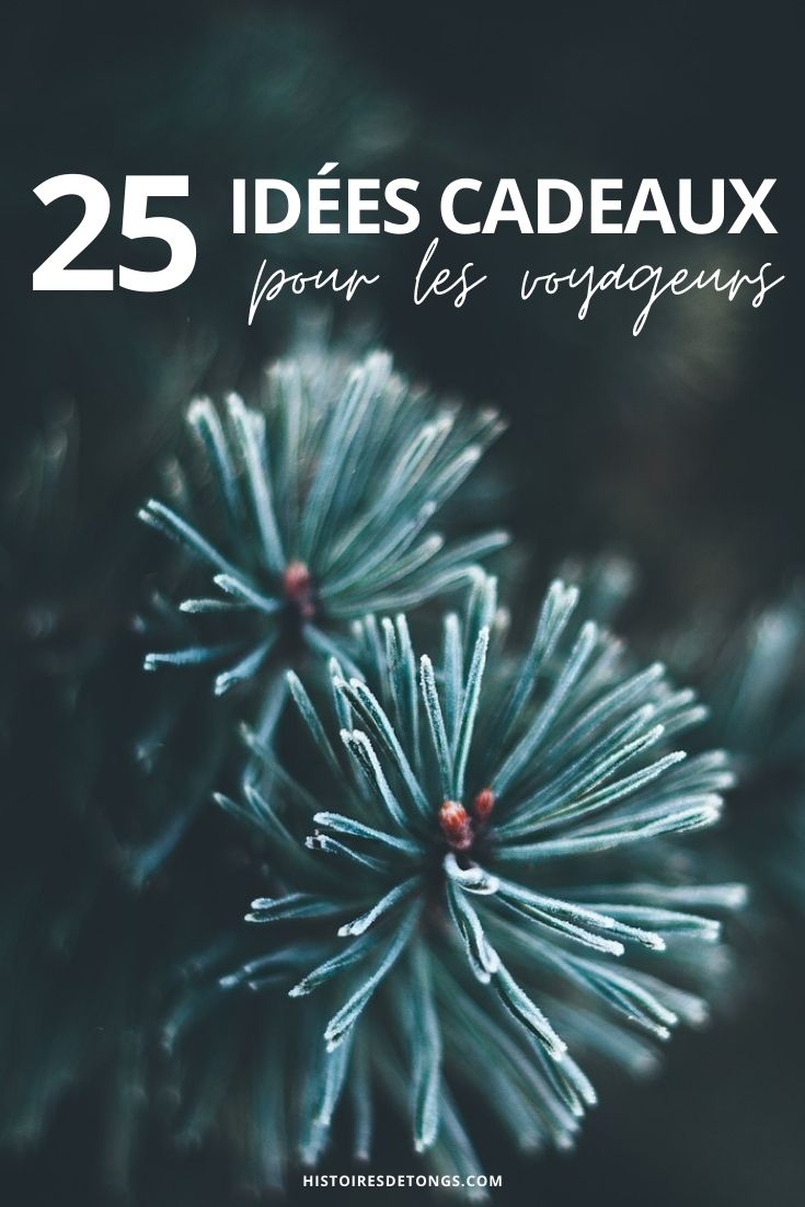 idées de cadeaux pour le voyage