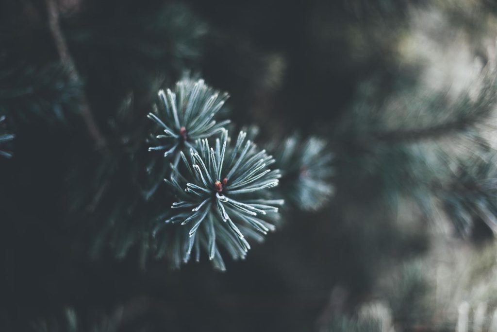 cadeau voyageur voyageuse