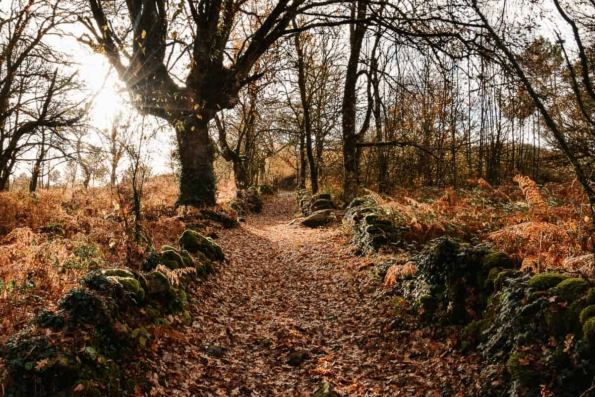 camino de santiago hiver