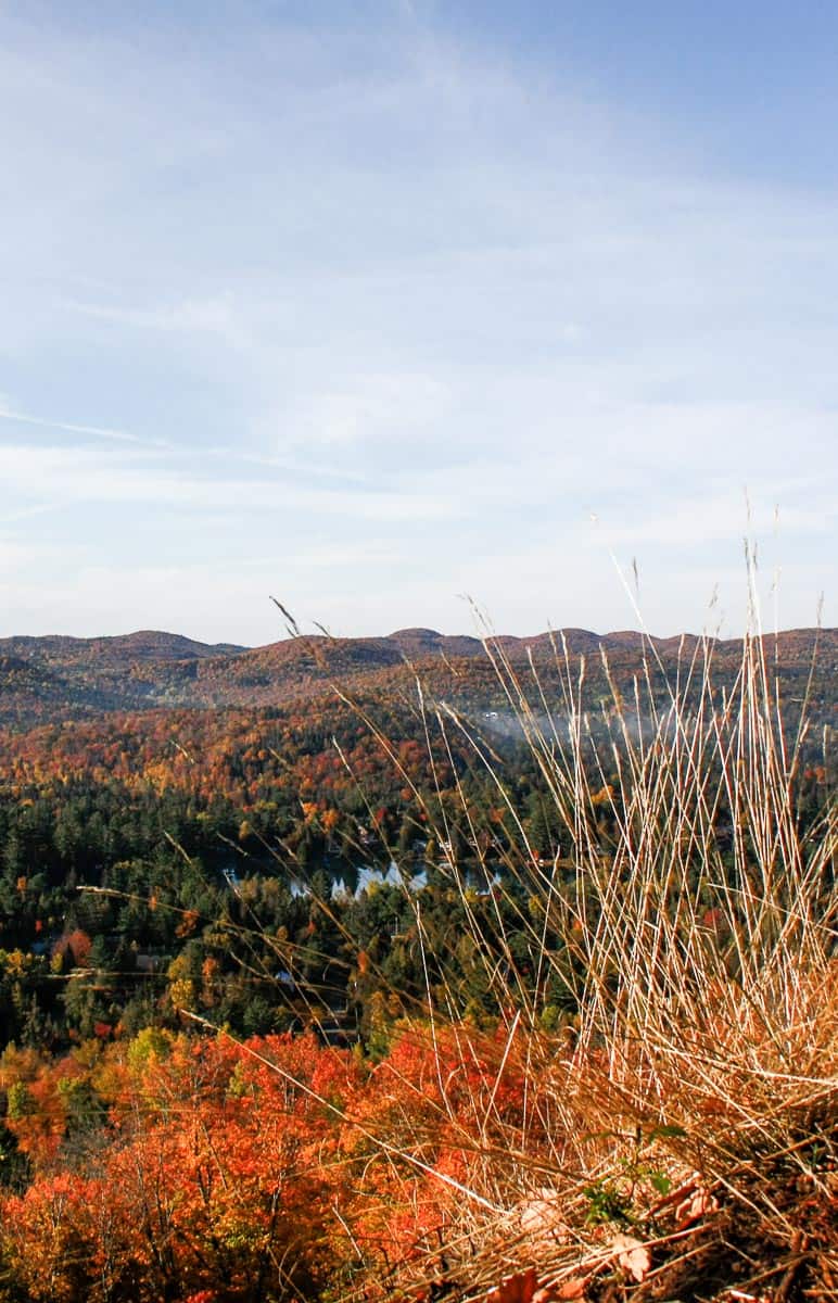 Faire un PVT au Canada : le témoignage de mon ami José et ses meilleurs conseils... | Histoires de tongs, le blog voyage passionnément alternatif