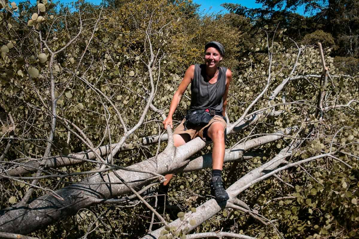 choisir ses chaussures pour compostelle