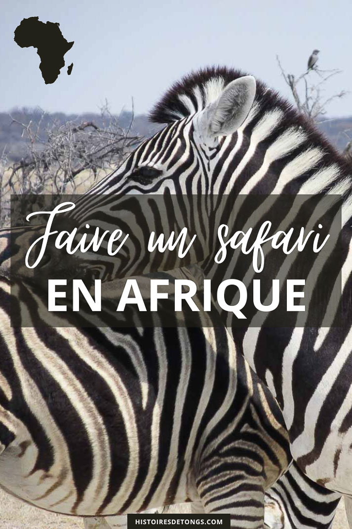 Comment faire un safari en Afrique... | Histoires de tongs, le blog aventure en solo et au féminin
