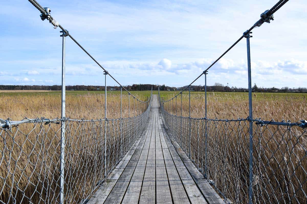 Öresund trail