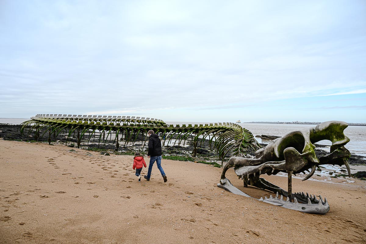 découvrir la Loire et son estuaire