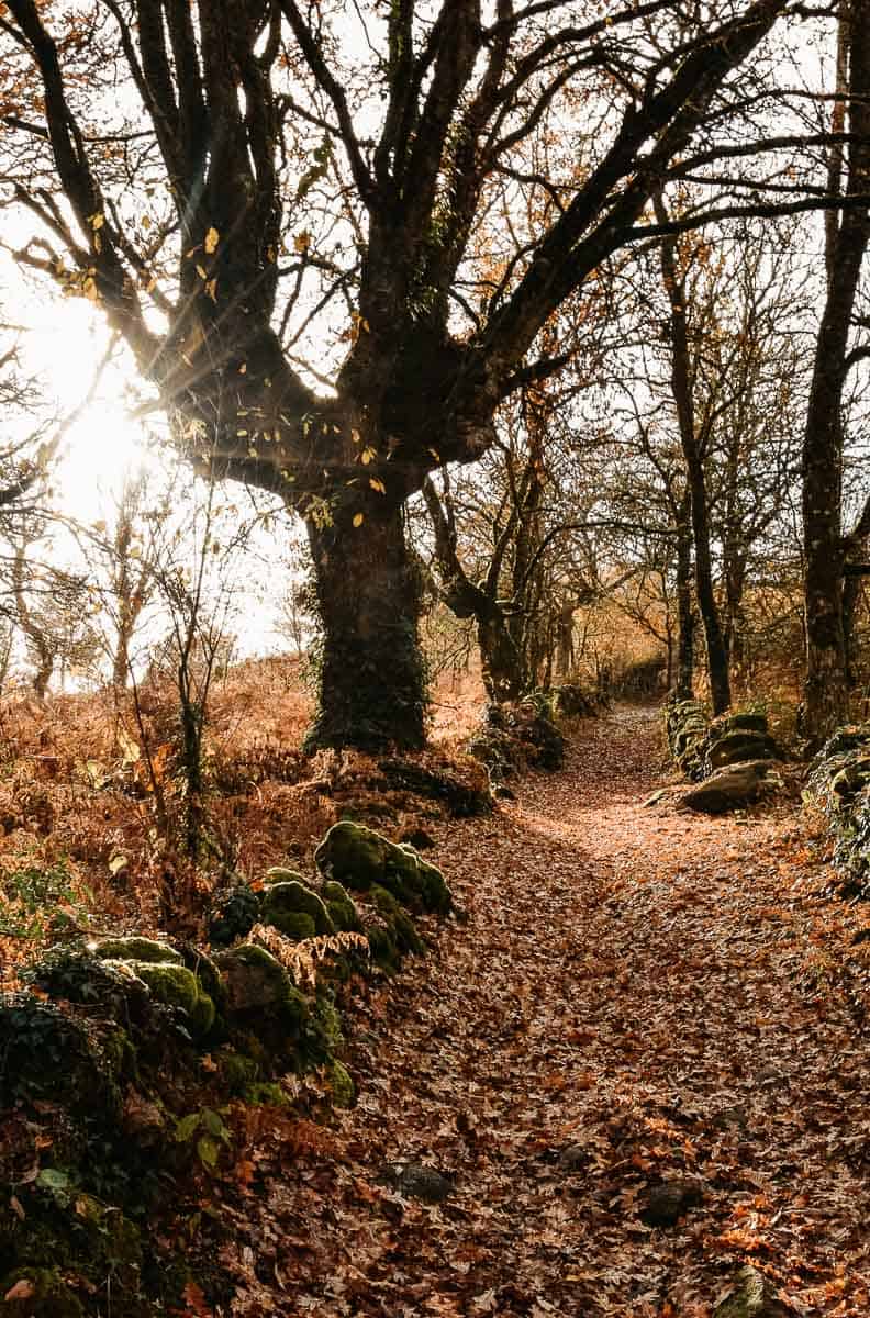 Faire le chemin de Compostelle en hiver, c'est possible ! Conseils pratiques après 1000km sur la Via de la Plata, dans le froid et la pluie, mais avec le sourire... | Histoires de tongs, le blog voyage passionnément alternatif