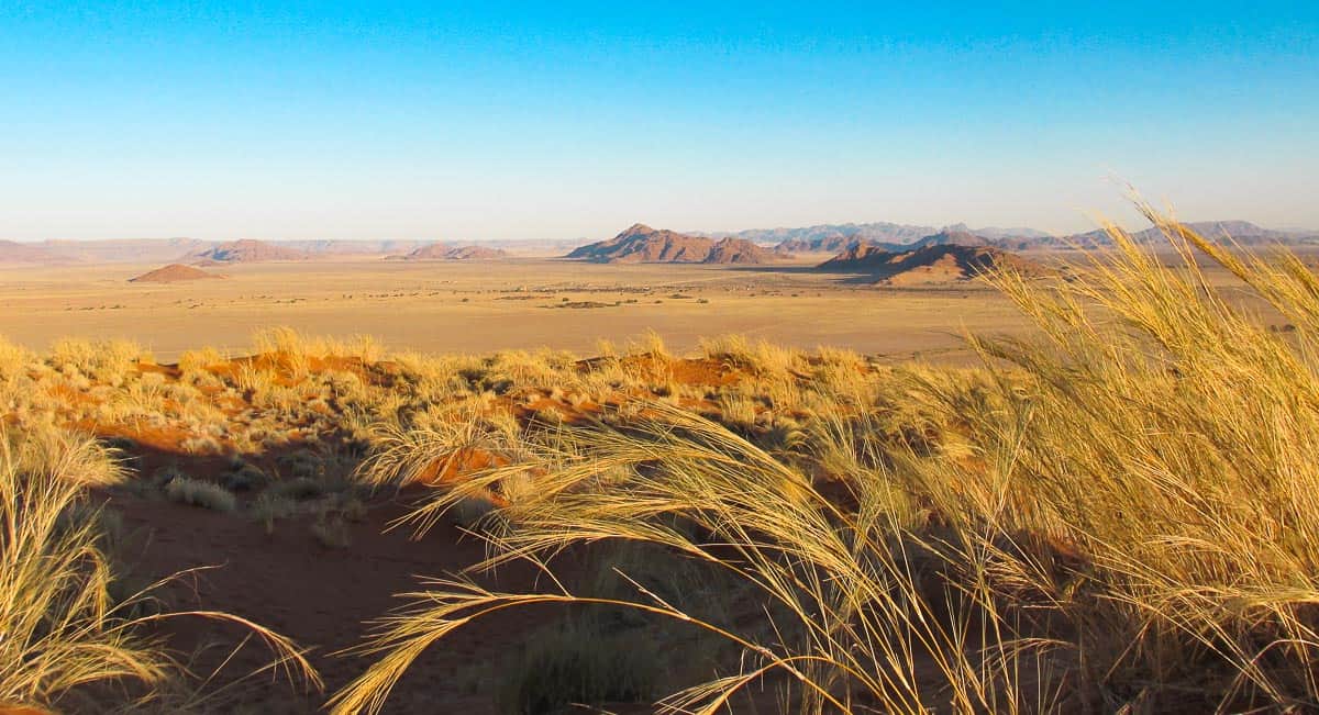 Adieux à mes compagnons de voyage de choc en Namibie