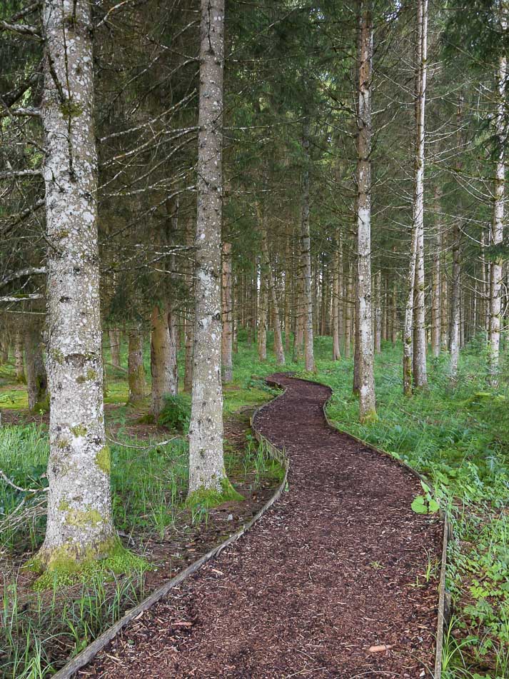 jura randonnée tourbières