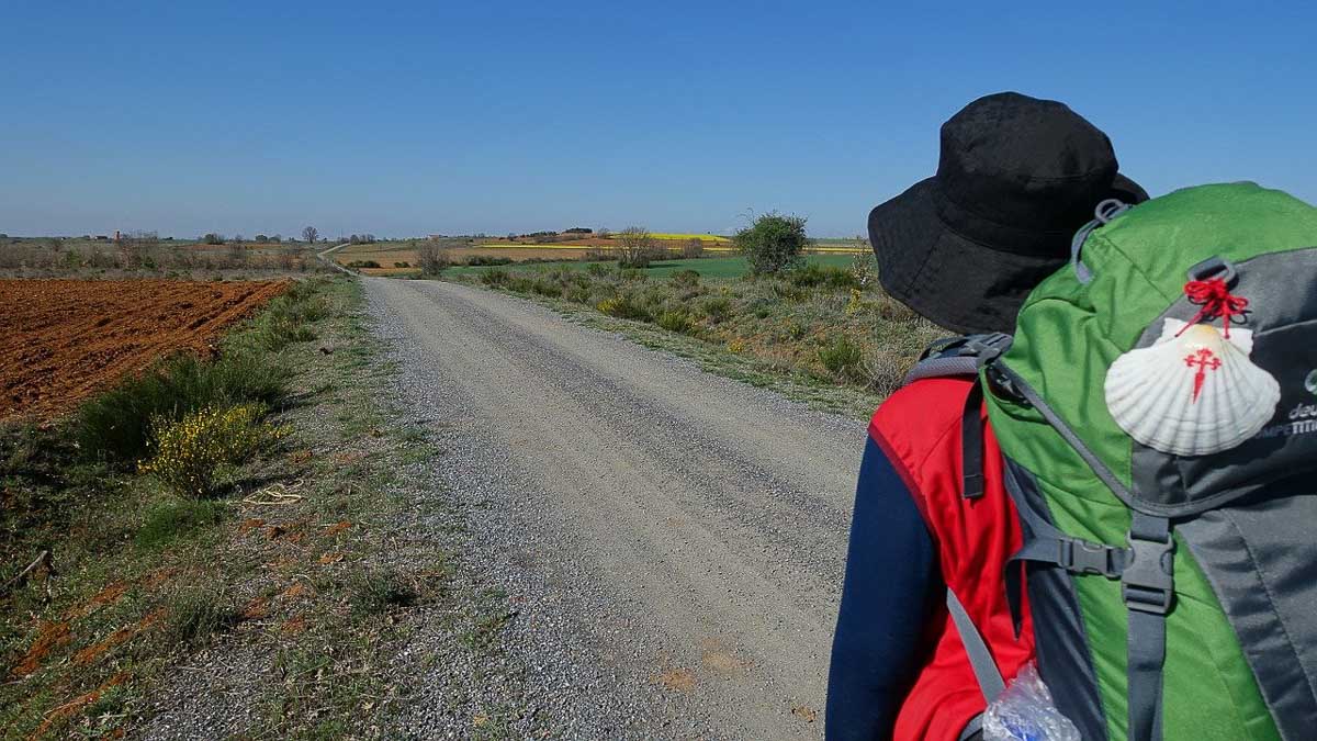 livre chemin de compostelle