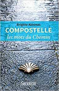 livre sur le chemin de saint jacques