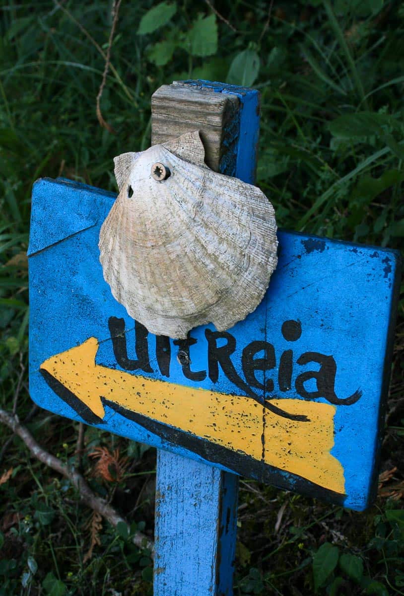 livres sur le camino de santiago