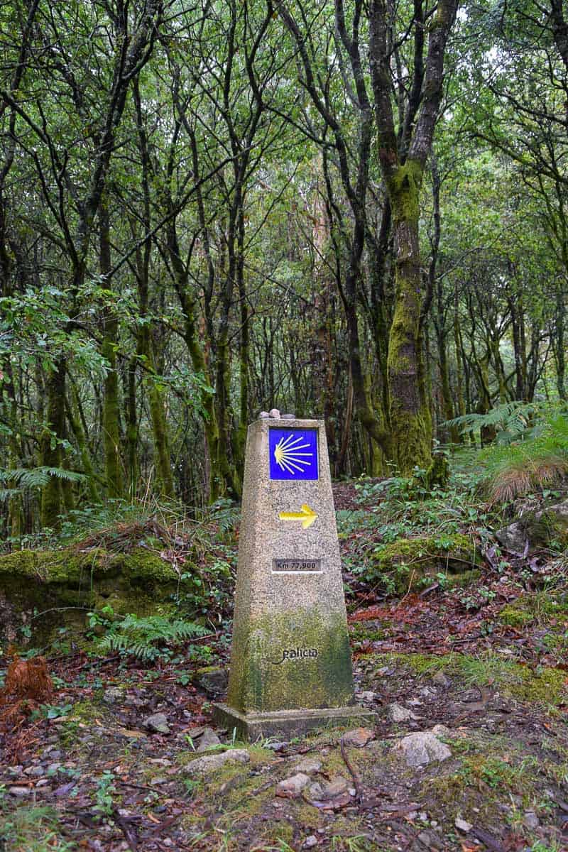 Quel cadeau offrir à un futur pèlerin de Compostelle ? Retrouvez 10 idées dans cet article spécial camino de Santiago... | Histoires de tongs, le blog voyage passionnément alternatif