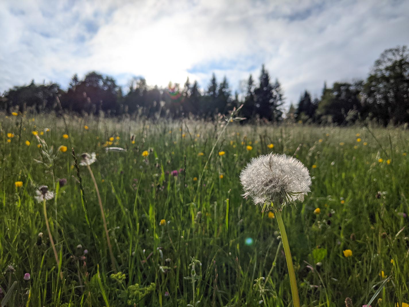 plus belles randonnées du jura