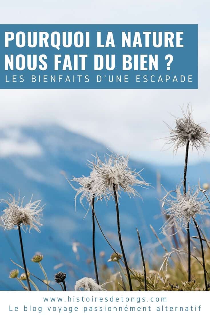 Les bienfaits de la nature sur la santé, ou l'importance de se mettre au vert | Histoires de tongs, le blog voyage passionnément alternatif