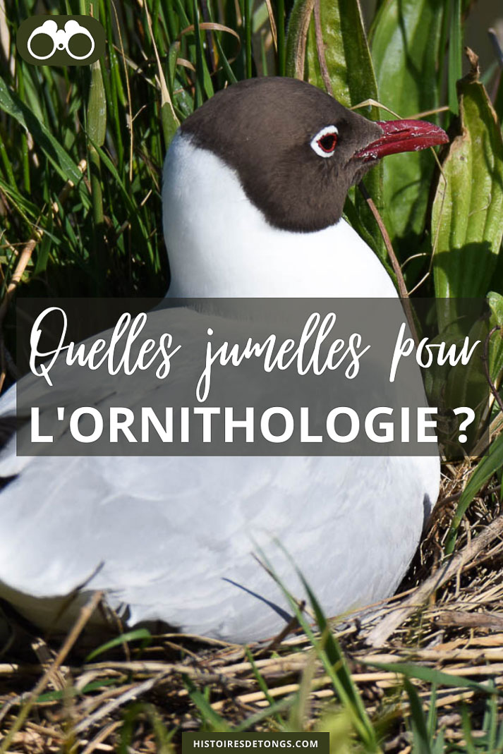 Quelles jumelles choisir pour observer les oiseaux ? | Histoires de tongs, le blog aventure en solo et au féminin