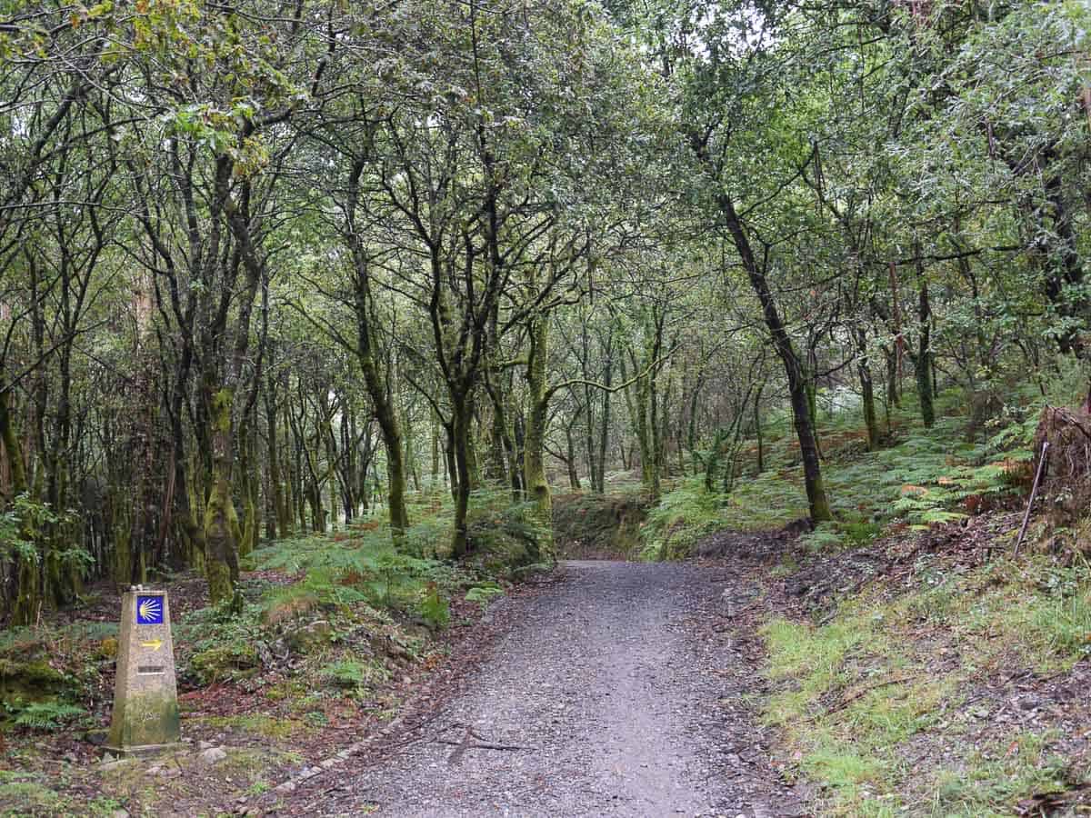 Idées de cadeaux pour un futur pèlerin de Compostelle