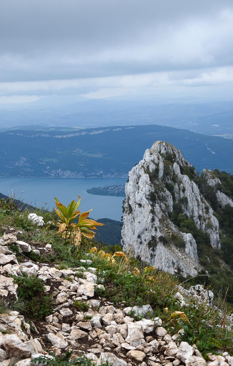 Road trip en Savoie et treks autour des plus beaux lacs: récit de voyage en van aménagé, détail de mon itinéraire de deux semaines, conseils pratiques et infos pour savoir où faire de la randonnée... | Histoires de tongs, le blog voyage passionnément alternatif