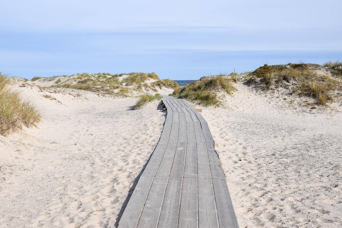 Randonnée au Sud de la Suède Sandhammaren plage