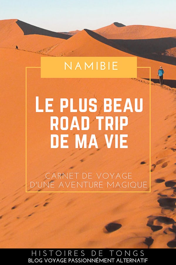 Road trip en Namibie, dans le désert du Namib et à la rencontre d'animaux sauvages : mon retour d'expérience après 3 semaines d'aventure... | Histoires de tongs, le blog voyage passionnément alternatif