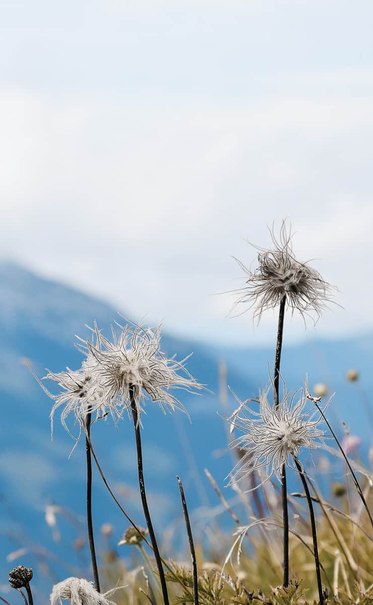 Les bienfaits de la nature sur la santé, ou l'importance de se mettre au vert | Histoires de tongs, le blog voyage passionnément alternatif