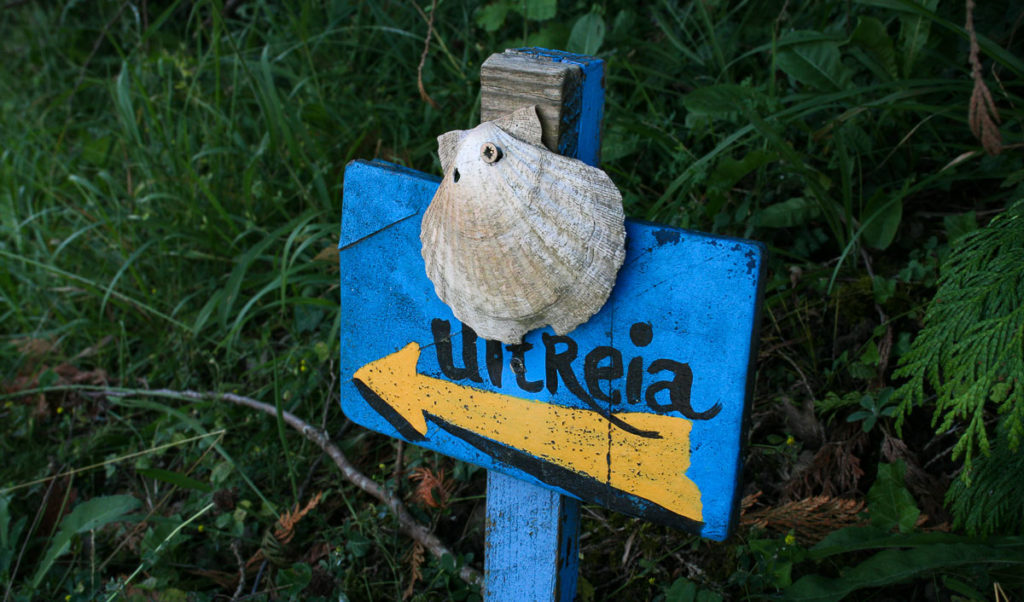 camino de santiago